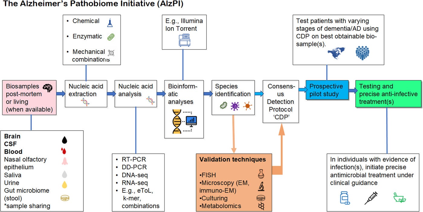 Flow chart of the Alzheimer's Pathobiome Initiative. AD, Alzheimer's disease; CSF, cerebrospinal fluid; DD, digital droplet; EM, electron microscopy; eToL, electronic tree of life; FISH, fluorescence in situ hybridization; PCR, polymerase chain reaction; RT, reverse transcription.