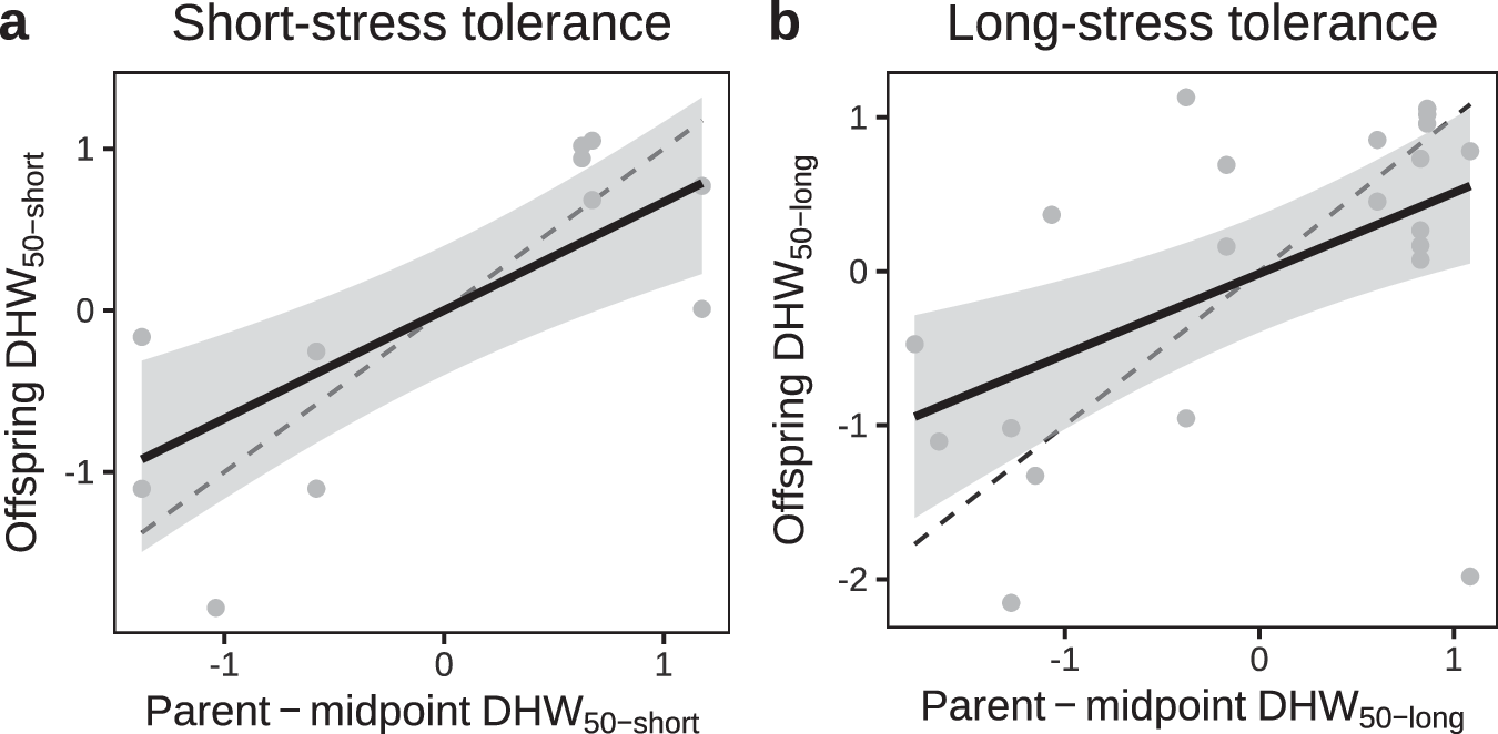 Heritability of heat tolerance.