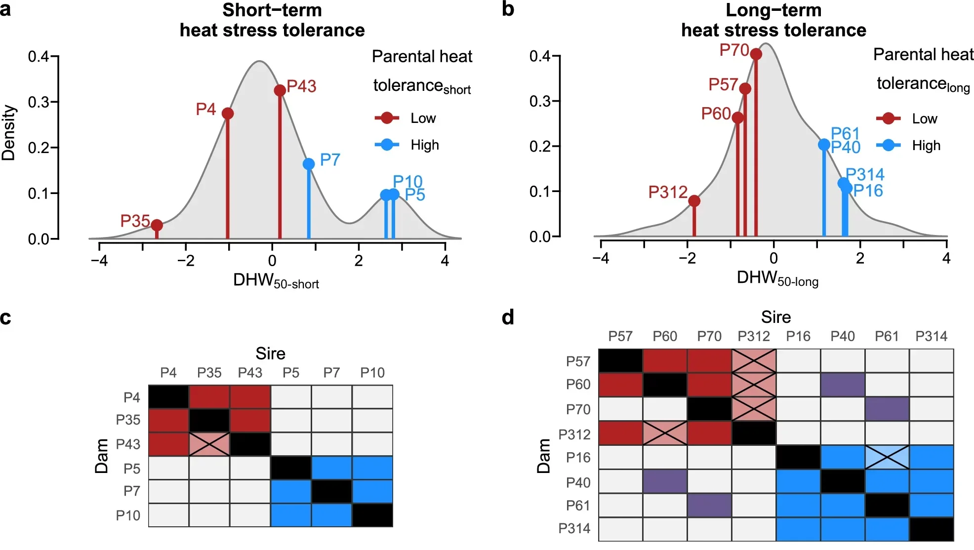 Response to selective breeding for heat tolerance.