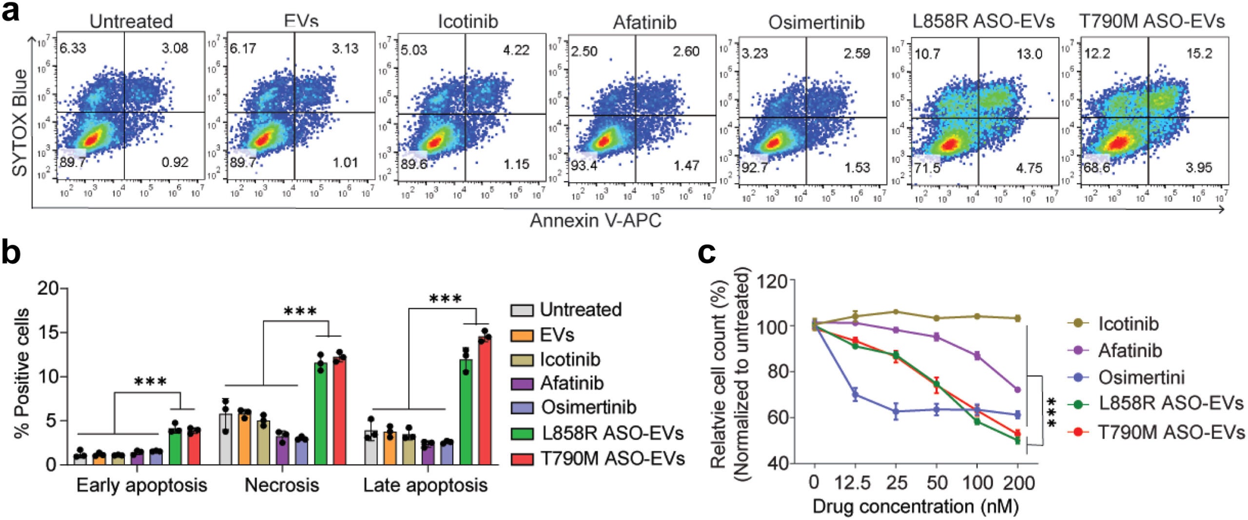 RBCEVs loaded with EGFR mutant-specific ASOs exhibit superior anti-cancer effect compared to TKIs. 