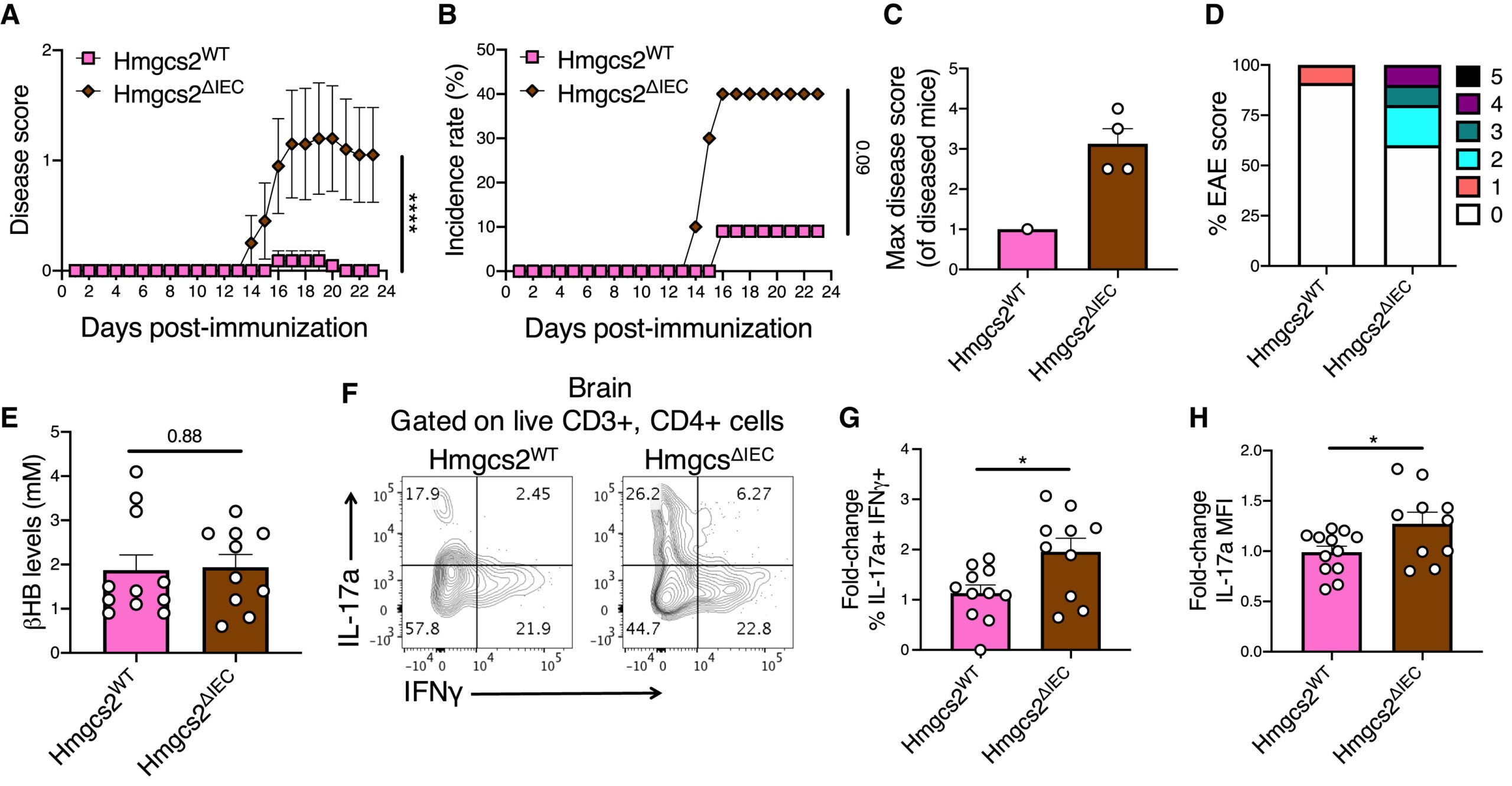 Intestinal βHB is necessary for protection from neurological disease