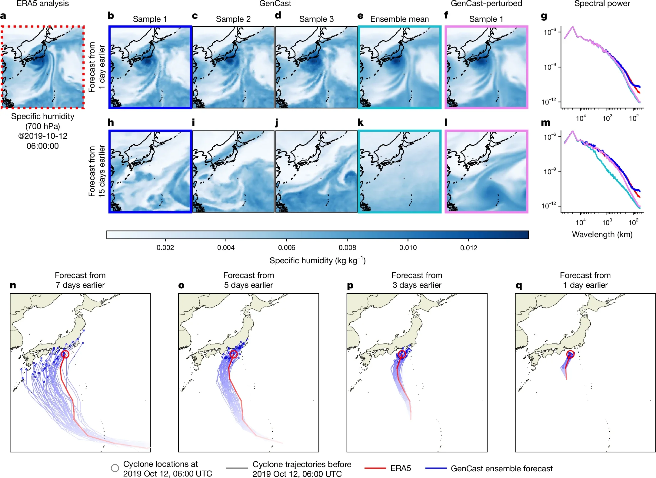 Visualization of forecasts and tropical cyclone tracks.