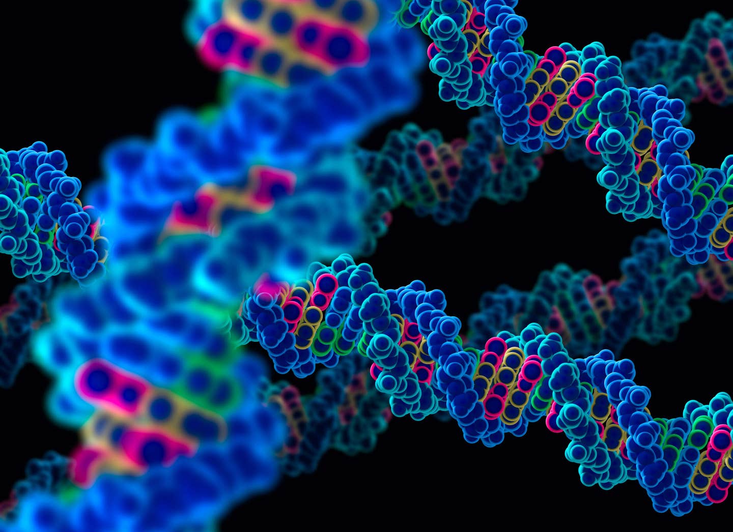 Scientists have mapped 50,000 i-motifs in the human genome, uncovering their regulatory roles and potential applications in disease treatment and diagnostics.
