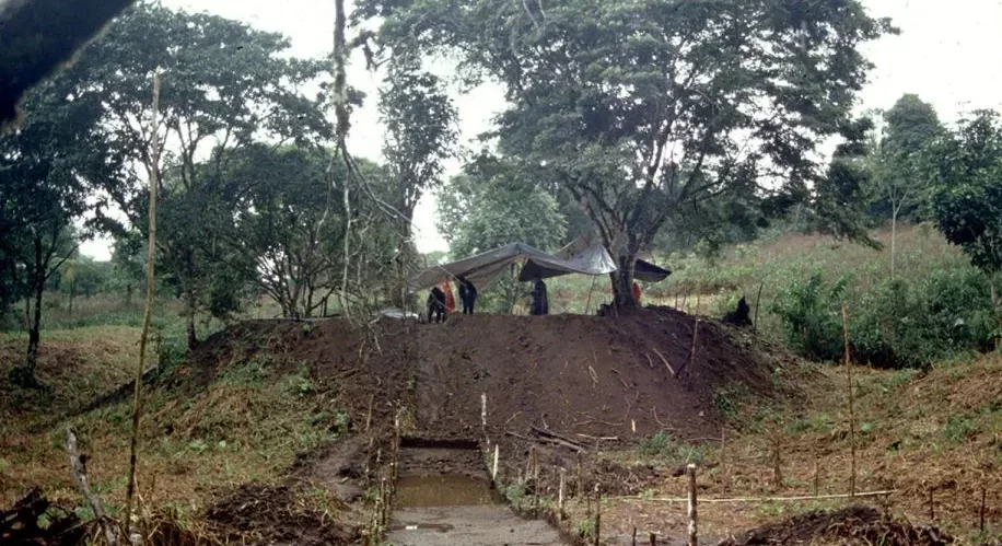 Ancient interconnected network of cities found hidden in the Amazon