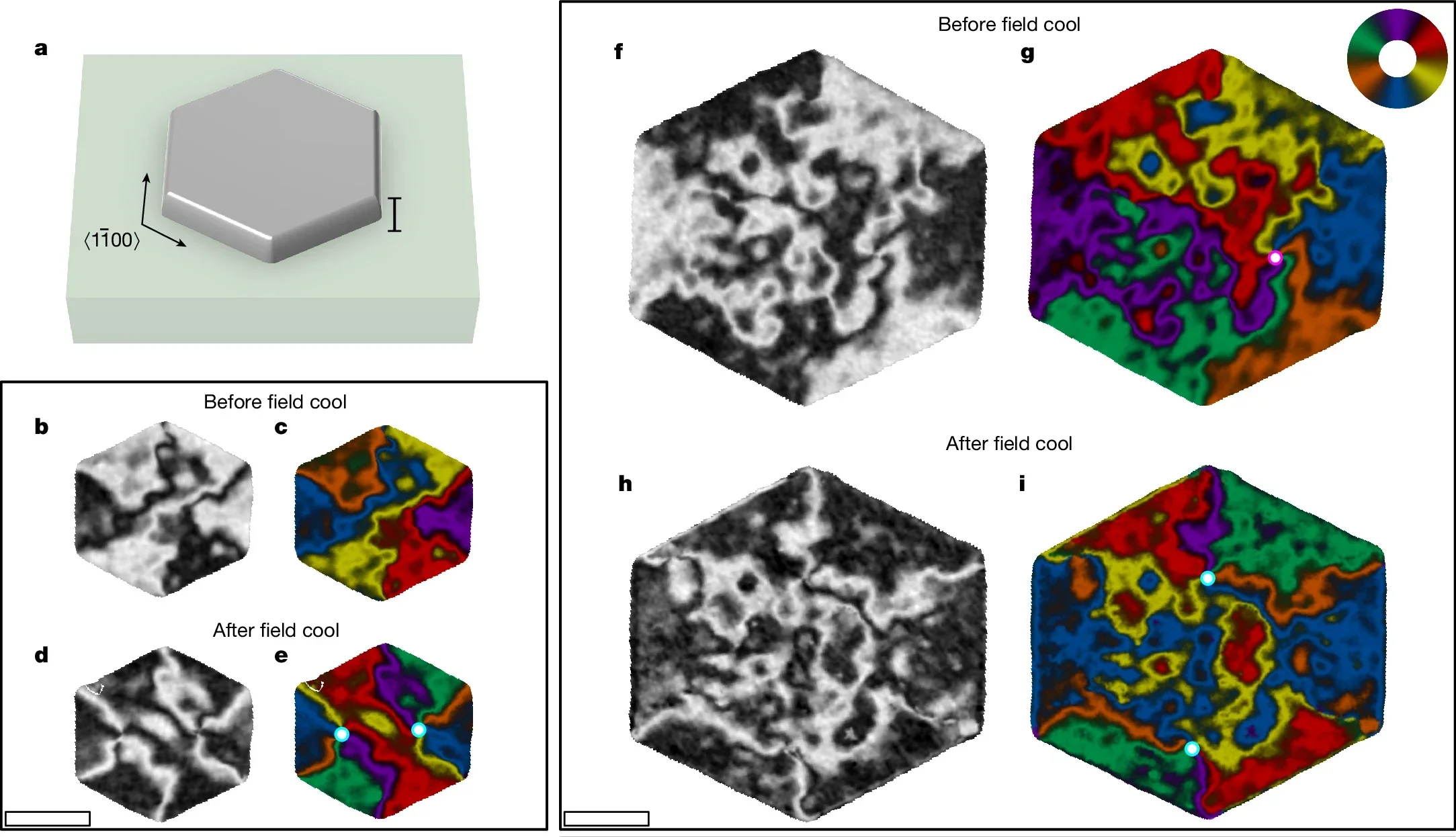 Controlled formation of altermagnetic vortex nanotextures. Schematic of a hexagon microstructure with edges along the axes. 