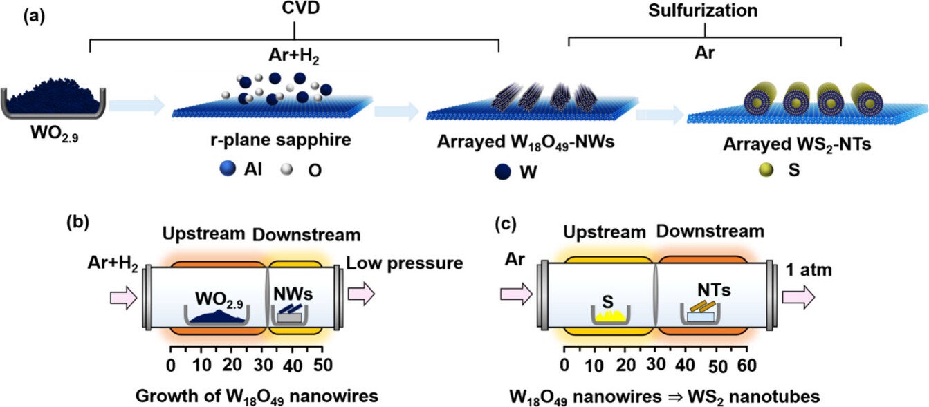 Schematic depiction of the synthesis process of arrayed WS2-NTs.