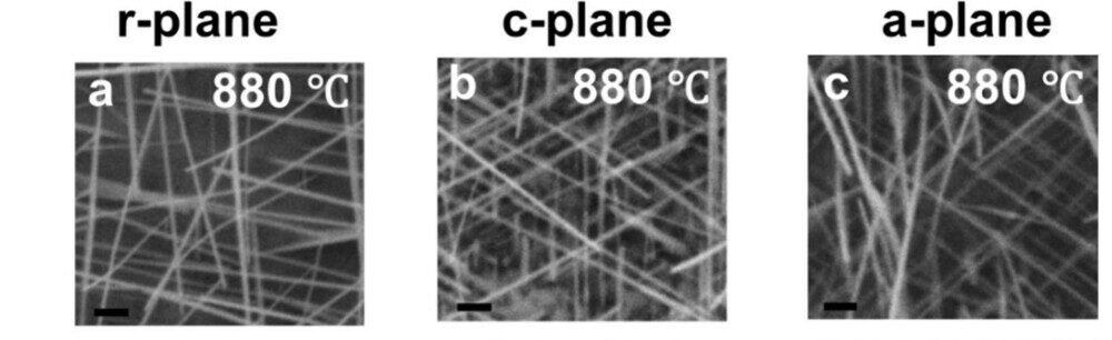  Sublimation temperature-dependent FESEM images of WOx-NWs grown on r-plane (first panel), c-plane (second panel), and a-plane (third panel) sapphire substrates.