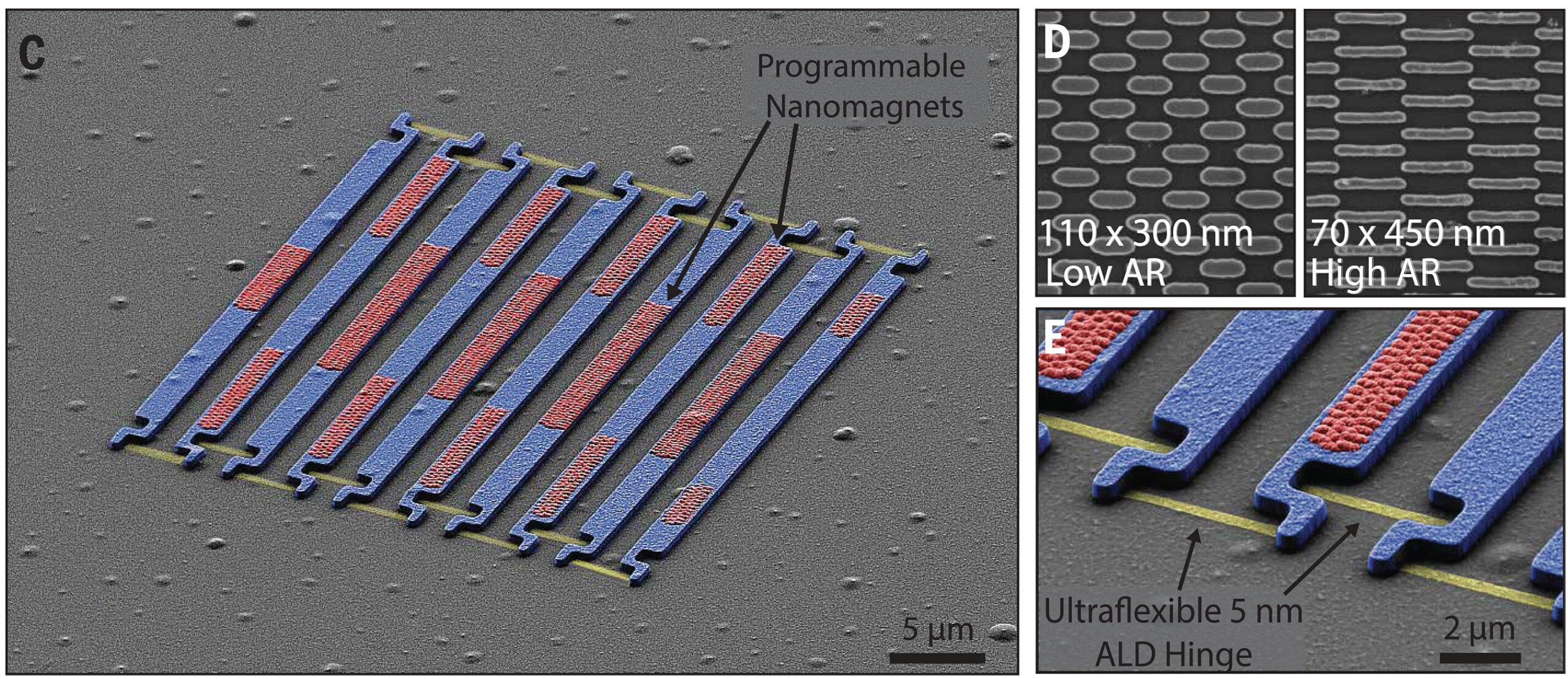 False-colored SEM image of the prototypical diffractive robot, an individual diffraction grating with 500 lines/mm. The colors indicate the main elements of the microbot platform: blue, diffractive panels; red, the arrays of nanomagnets; and yellow, the mechanical ALD hinges.