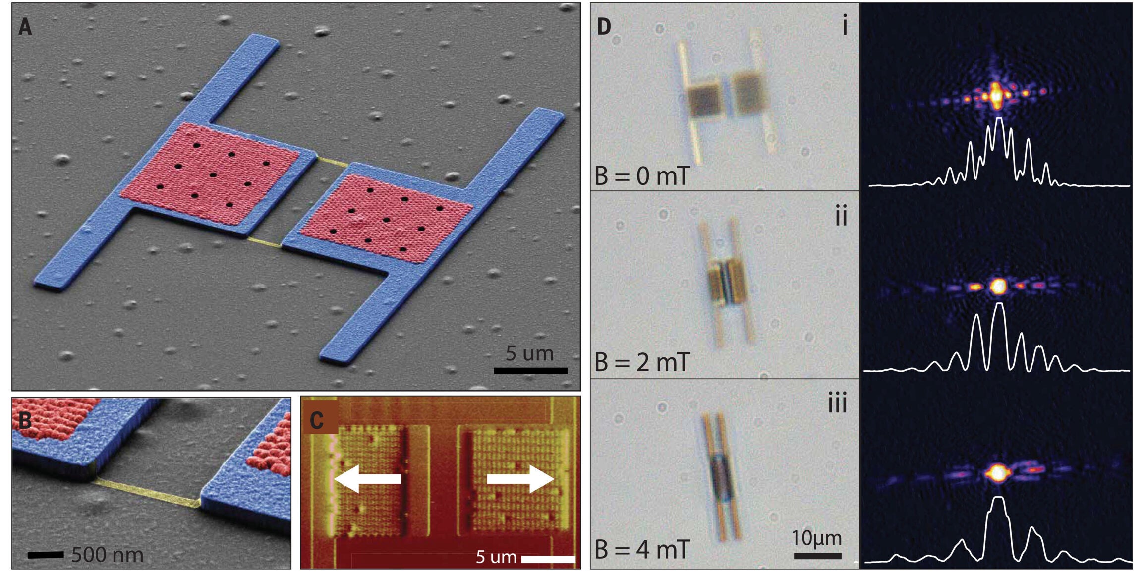 False-colored SEM of the double-panel diffractive robot. The microbot consists of two panels (blue), two magnet arrays (red), and two hinges (yellow) and functions as an optical double slit.