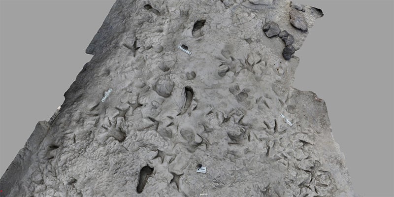 A 3D computerized model of the surface of the area near Lake Turkana in Kenya shows fossil footprints of Paranthropus boisei (vertical footprints) with separate footprints of Homo erectus forming a perpendicular path. 