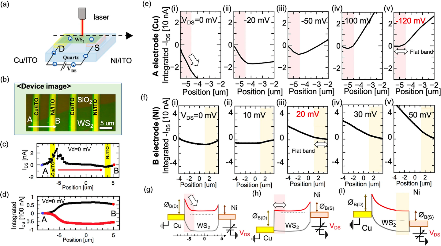 Schematic illustration of spatially resolved photoexcited charge-carrier mapping for the device with asymmetric electrodes: Cu/ITO and Ni/ITO. Images of the device under a microscope.