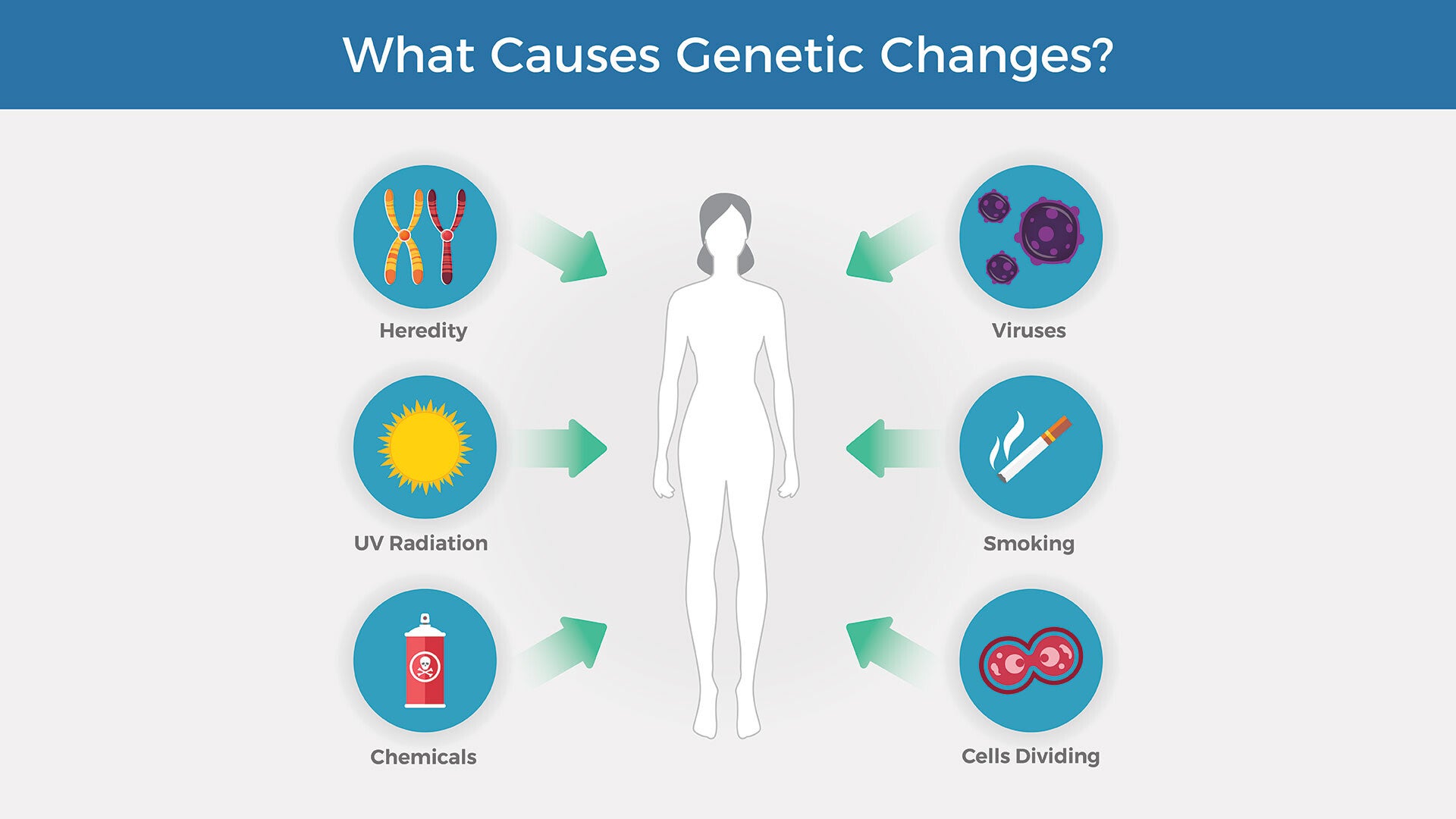 Genetic changes that cause cancer can be inherited or arise from certain environmental exposures. Genetic changes can also happen because of errors that occur as cells divide. 
