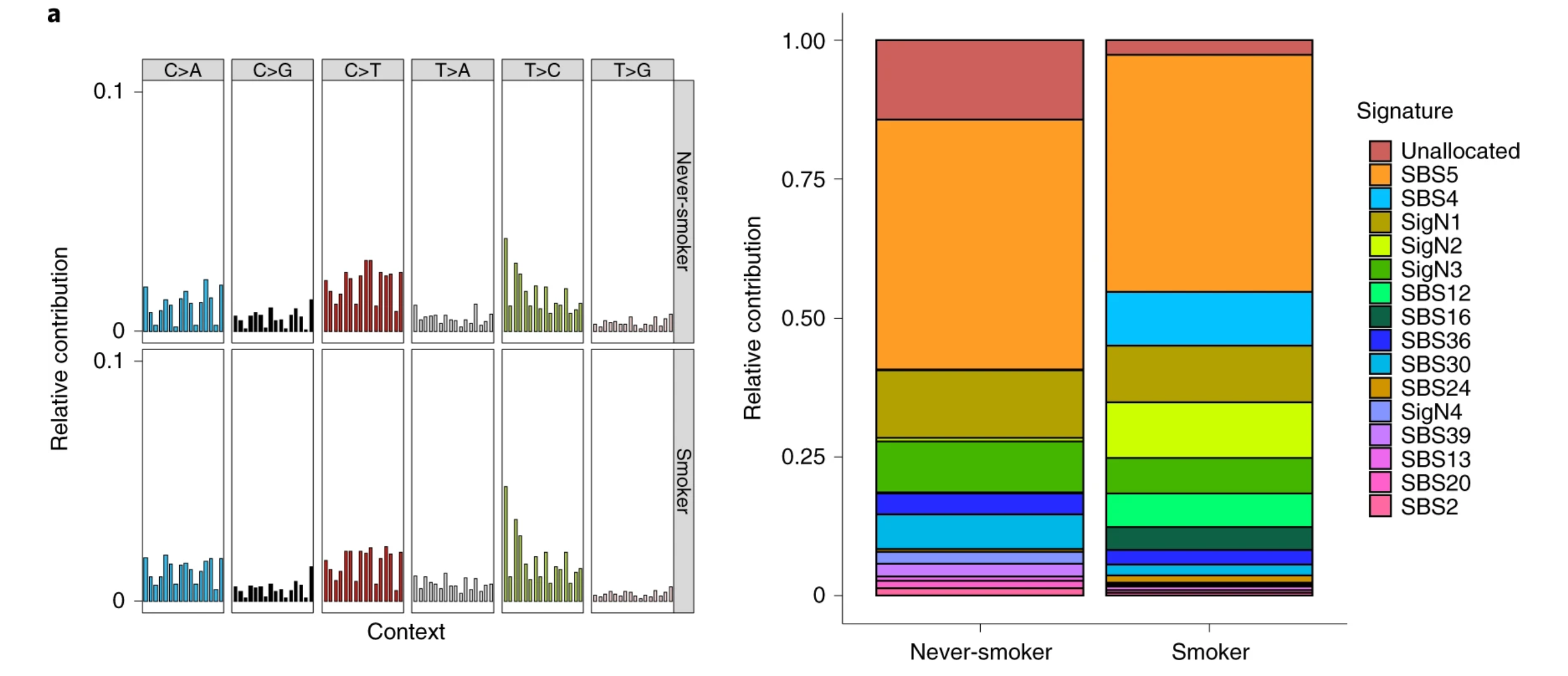 Mutation spectra of single nuclei from never-smokers and smokers (left), and stacked bar plot showing the proportional contribution of mutational signatures to SNVs across all nuclei measured from never-smokers and smokers (right), extracted using a hierarchical Dirichlet process (HDP).