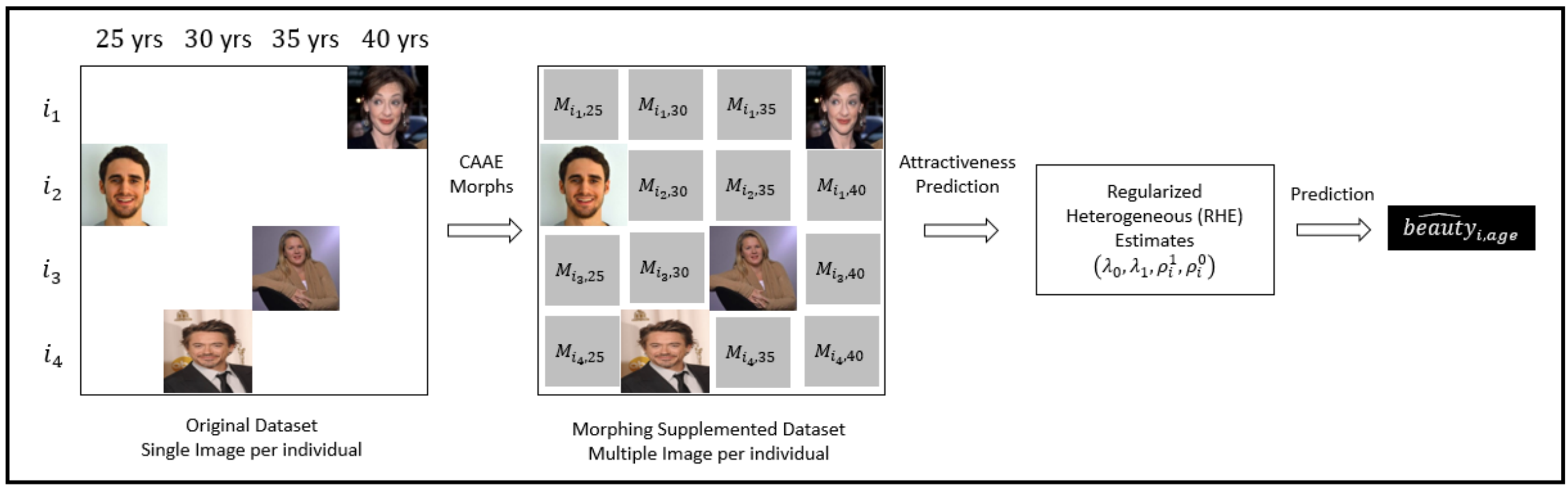 We first create morphed picture M(,)*+ at all age milestones for which an actual picture is not available for individual i. Then, we estimate the RHE (regularized heterogeneous evolution) model using the predicted attractiveness of the morphed pictures. 