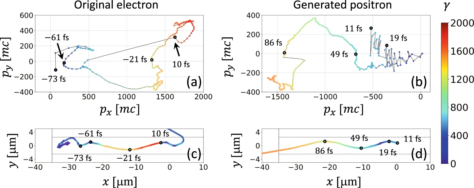 Trajectories of an accelerated plasma electron and a generated positron.