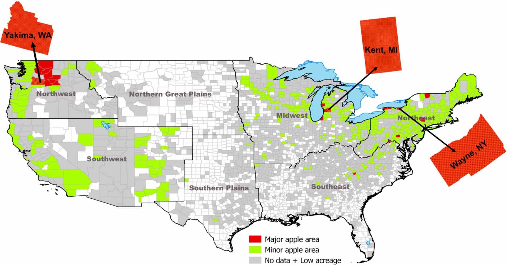Map of major (red) and minor (green) apple-producing counties in the U.S. Counties whose cumulative percent acreage adds up to 75% are considered major apple-producers and the remaining counties with cumulative acreage between 75% to 99% are minor apple-producers. Gray counties have values that are either withheld or low (contributing to the remaining 1% of apple acreage).
