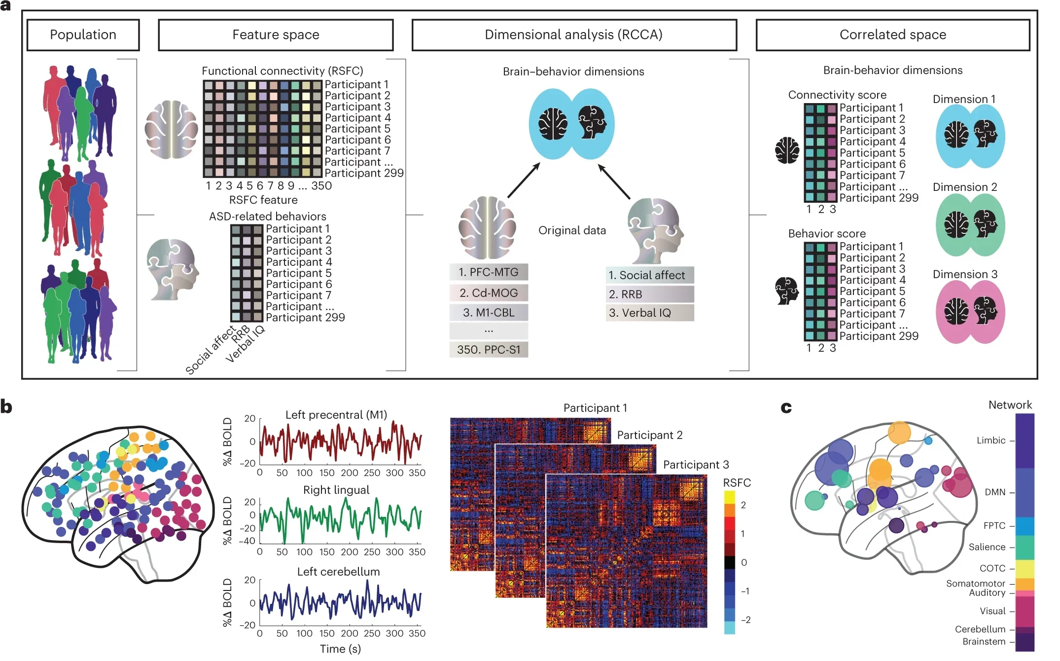 Three brain–behavior dimensions explain individual differences in autism spectrum disorder.