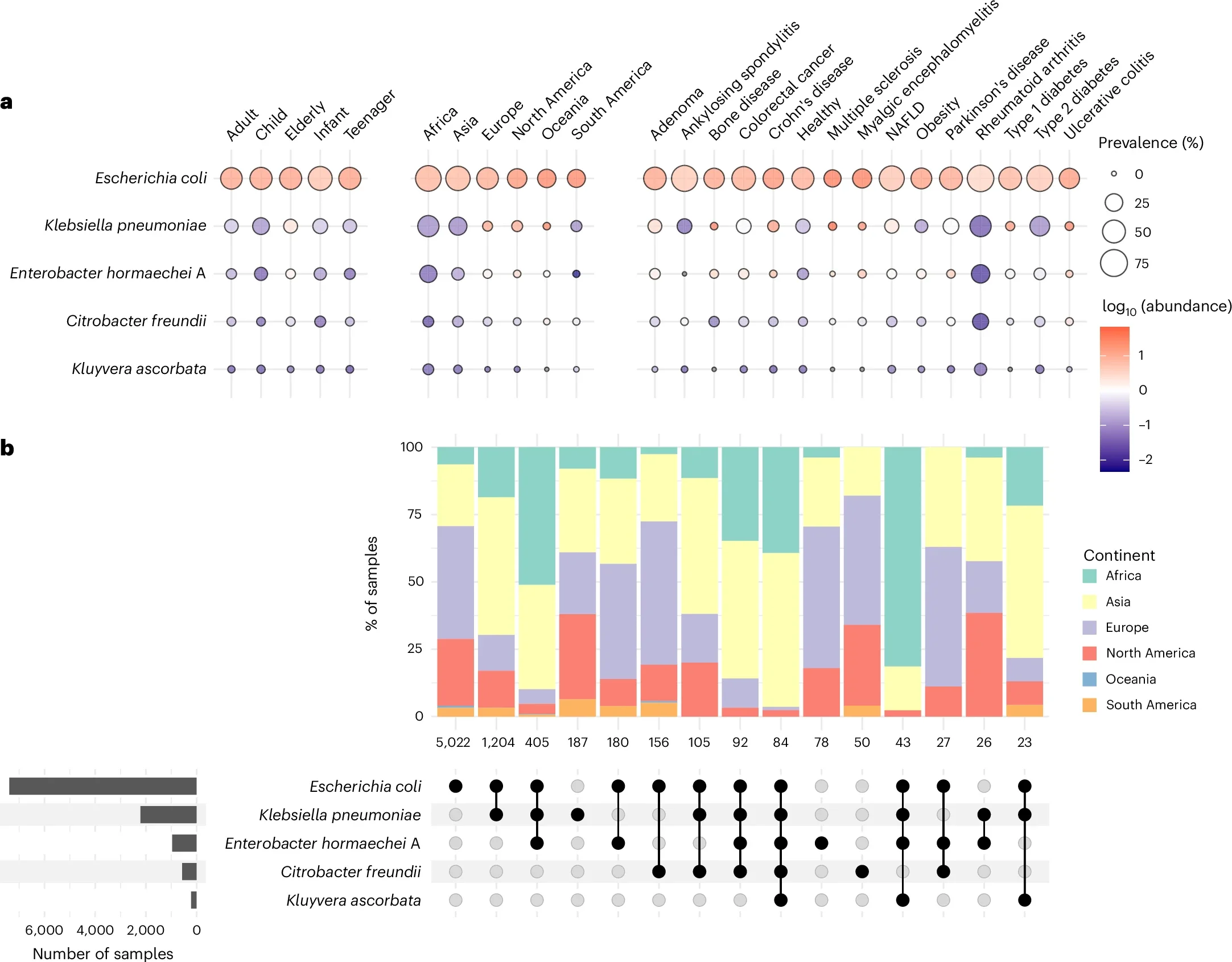 Distribution and diversity of the most prevalent Enterobacteriaceae species.