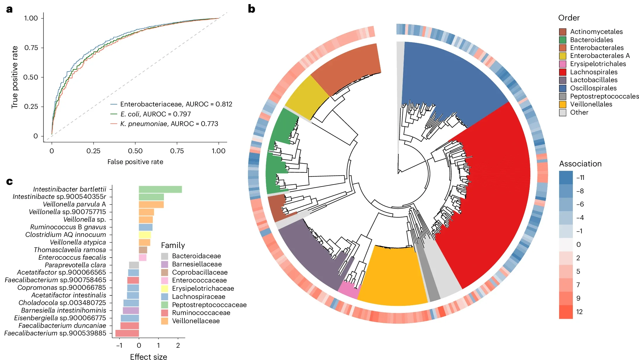 Gut microbiome composition is associated with Enterobacteriaceae colonization and abundance.