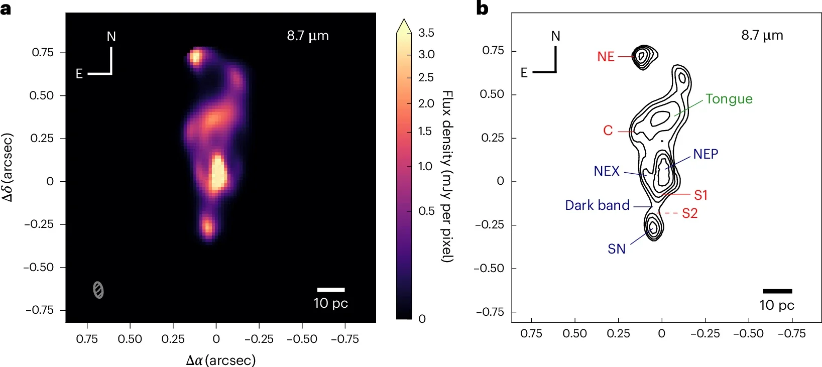 The results of deconvolution using the Richardson–Lucy method. 