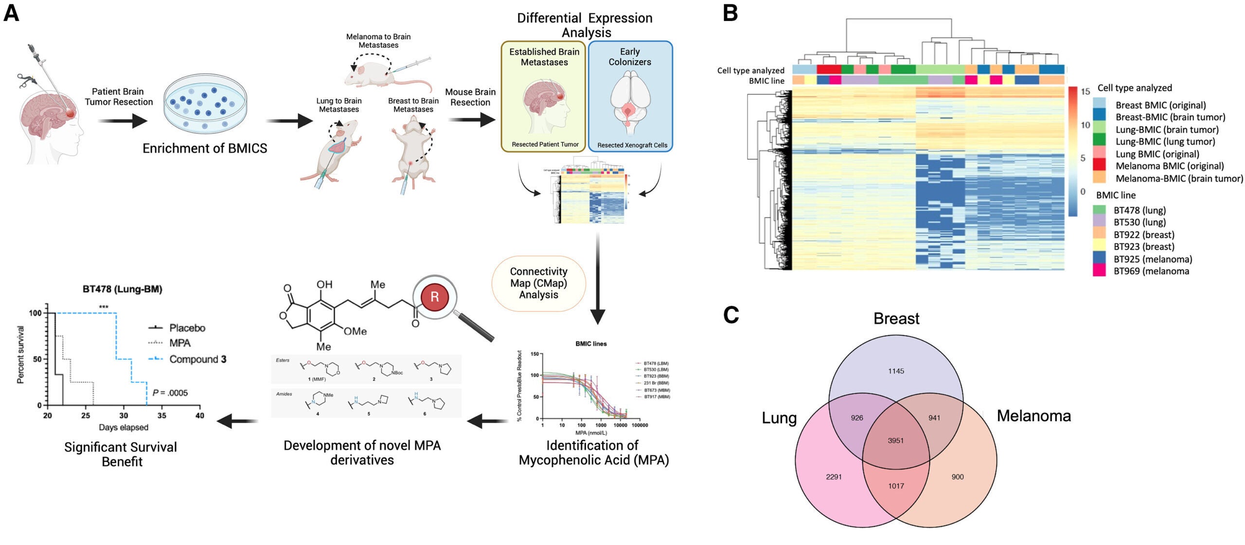 Phenotypic screen identifies anti-BMIC compounds