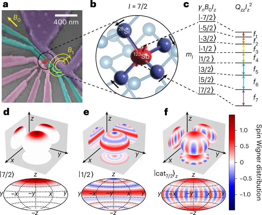 The eight-dimensional 123Sb nuclear spin qudit in silicon.