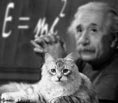 A recent study proposes modifications to the foundational Schrödinger equation, a key principle of quantum mechanics.