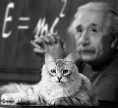 Recent study introduces modifications to the fundamental Schrödinger equation, the cornerstone of quantum mechanics