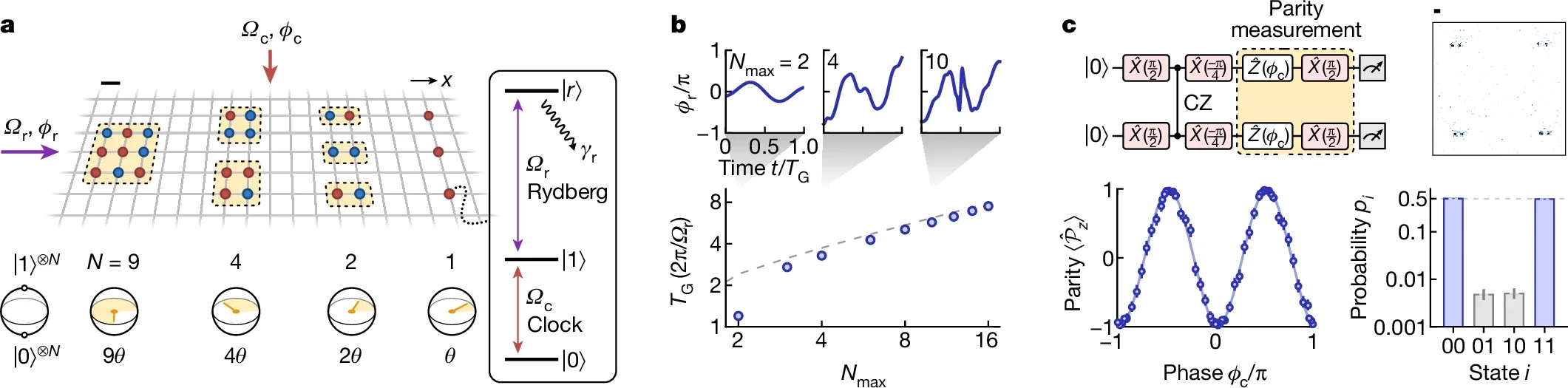 Global multi-qubit gates in a^88Sr atom array.