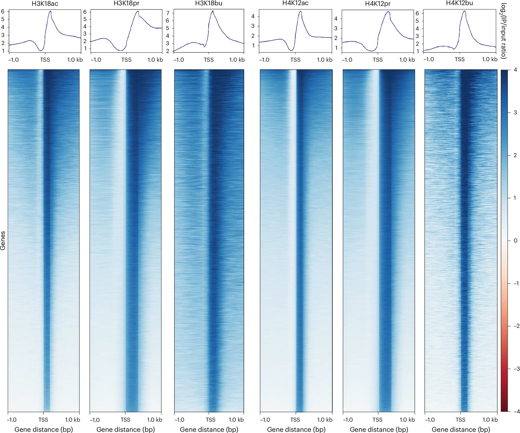 TSS distribution profiles of H3K18ac/pr/bu-associated and H4K12ac/pr/bu-associated ChIP-seq peaks as a function of read coverage.

