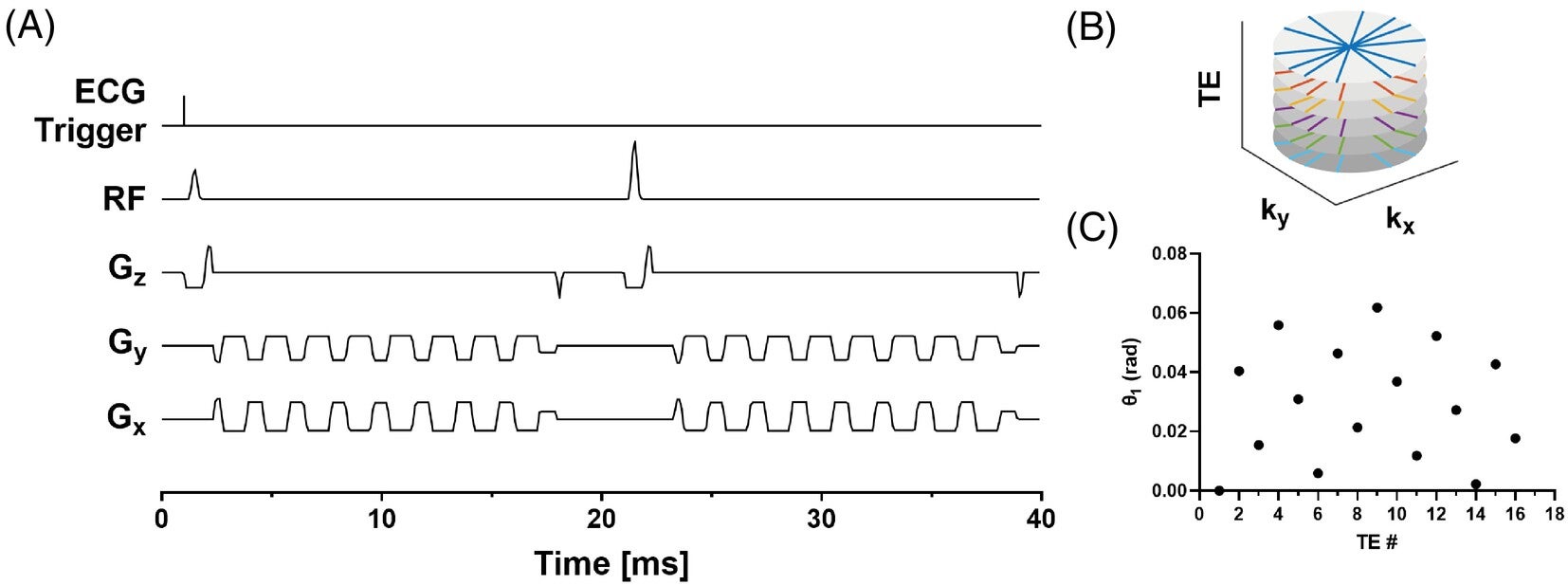 (A) Pulse sequence diagram depicting the acquisition of one radial spoke for 16 TEs. (B) Example radial trajectories for the first six spokes and five TEs. (C) Projection angles for the first spoke for each TE.