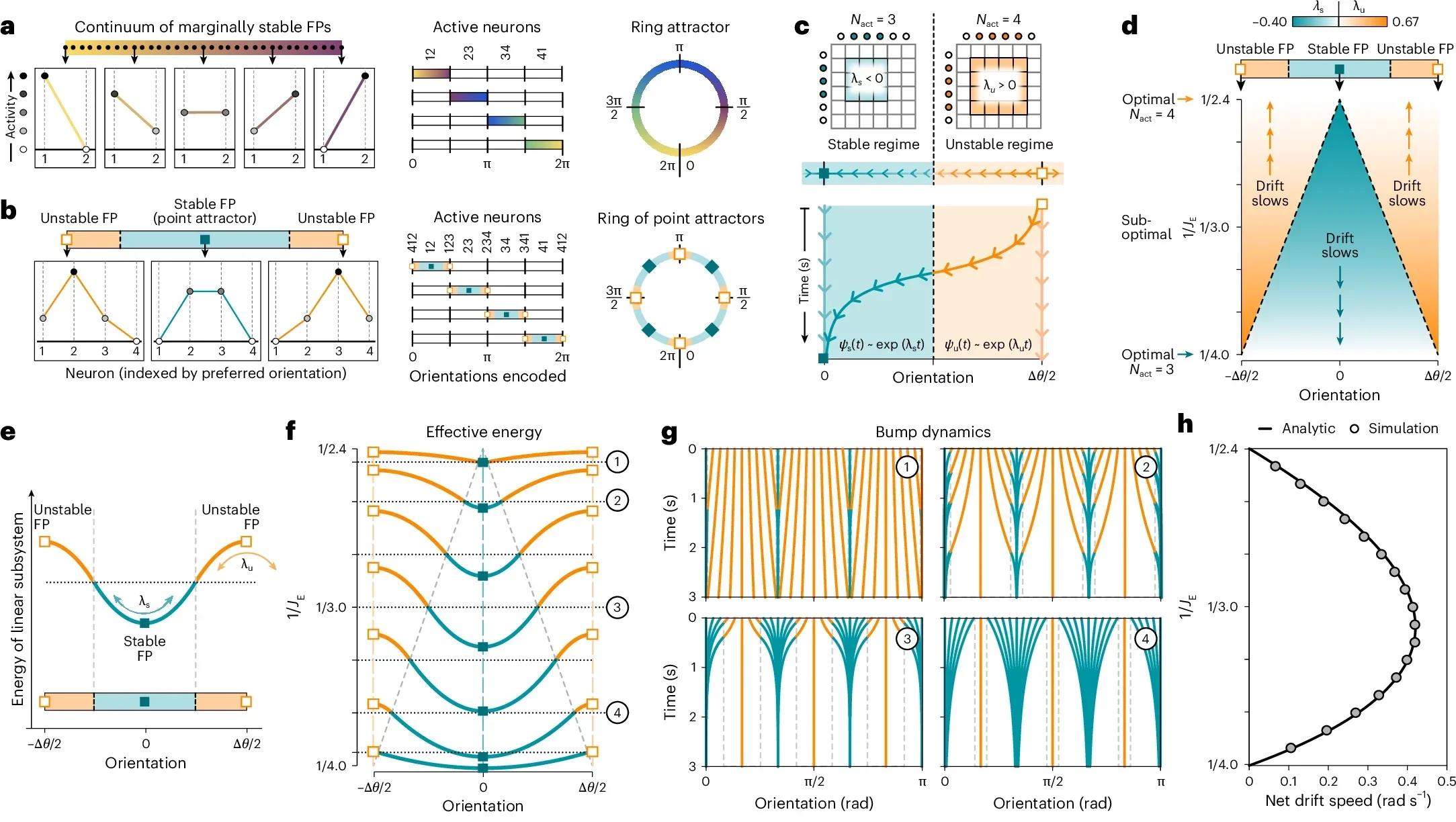 Nonoptimal networks balance periods of stability and instability.