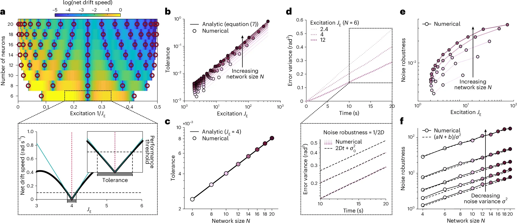 Smaller networks require more fine-tuning and are less robust to noise.