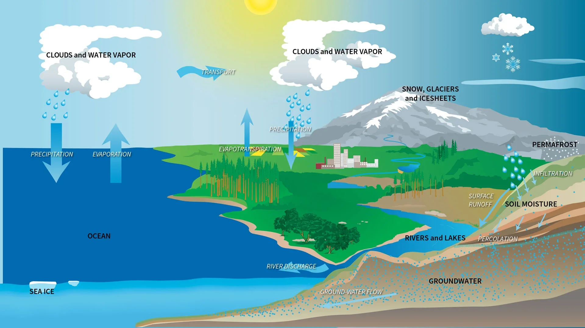 The water cycle explains the continuous movement of water on Earth. It begins with water evaporating from the surface, rising into the atmosphere, cooling, and condensing to form clouds. Eventually, it returns to the surface as precipitation. This process is essential for Earth's climate, as approximately 75% of the energy in the global atmosphere is transferred through water evaporation.