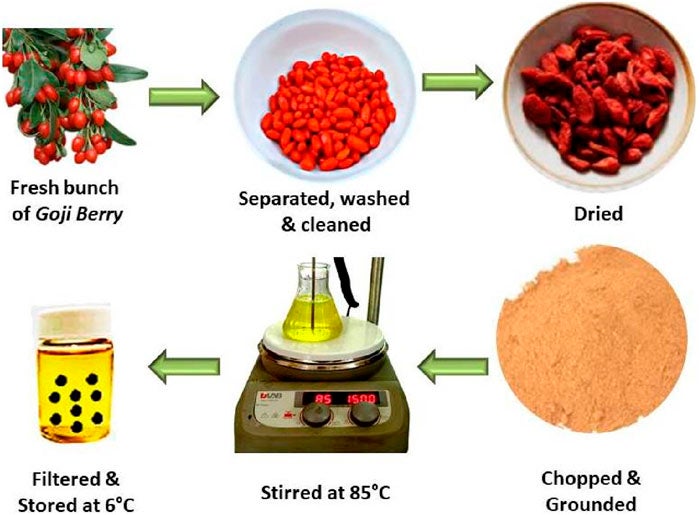 Process flow of preparation of extract.

