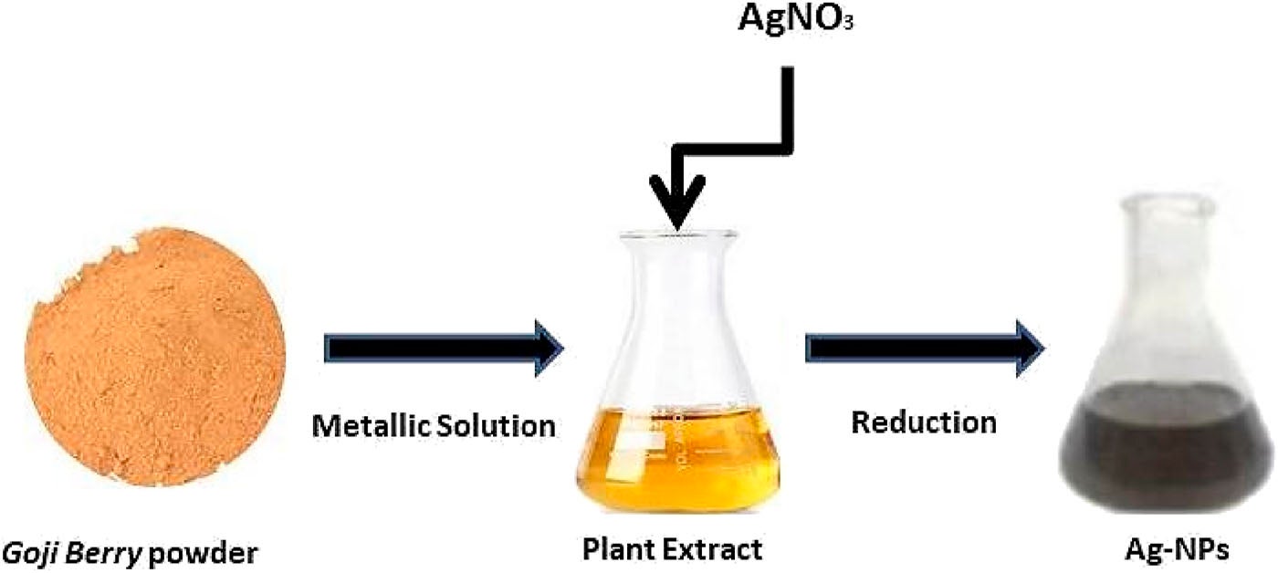 Green synthesis of Ag-NPs using goji berry extract.


