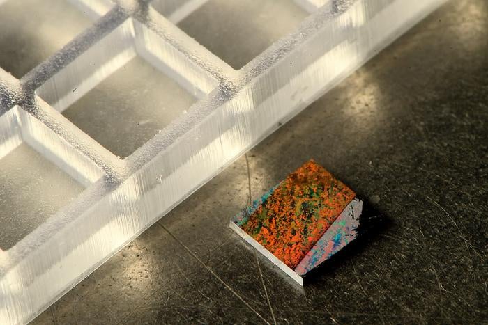 The heart of the invention is a tiny chip with a groundbreaking nanostructured surface on which blood is tested.


