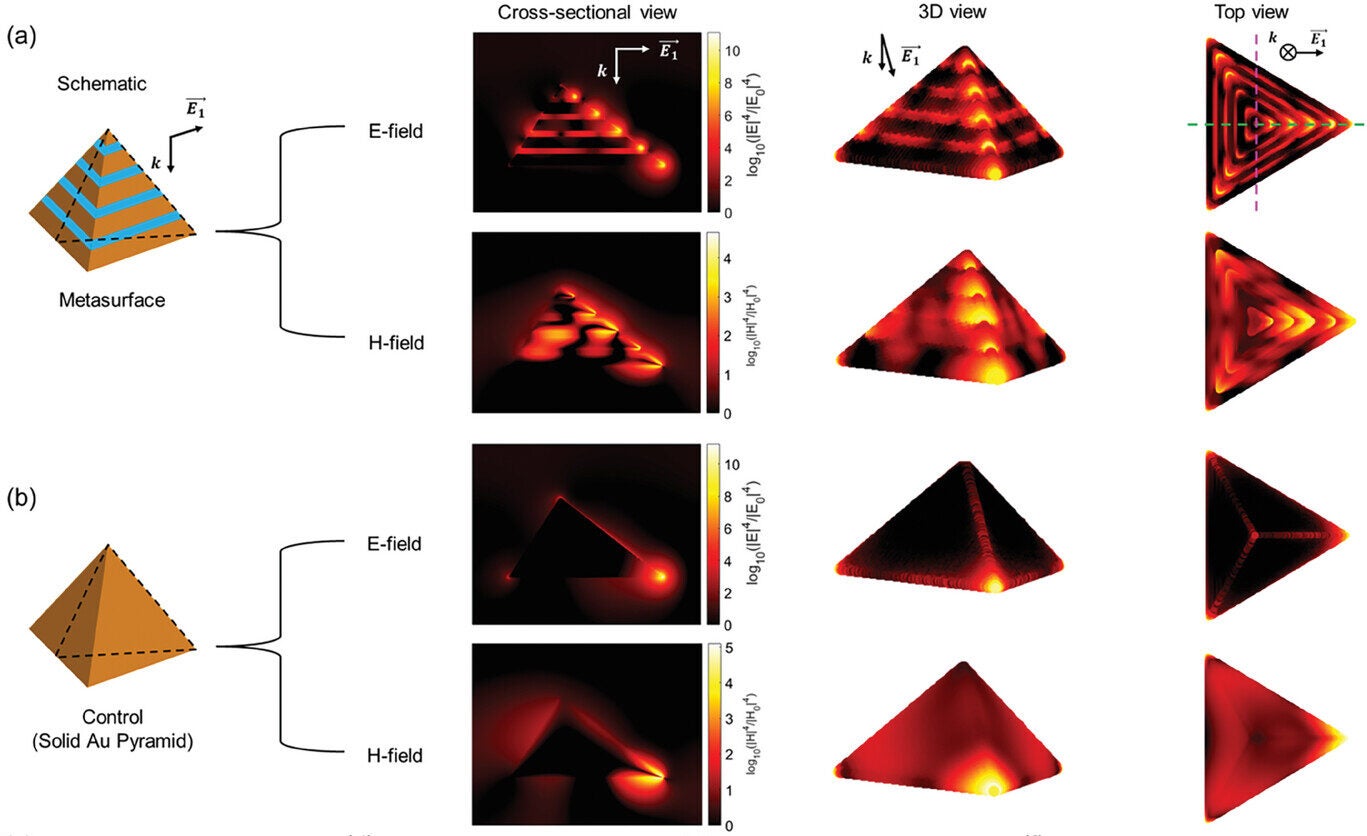 FDTD calculations of the E- and H-fields for SERS enhancement on the plasmonic metasurface and Au nanostructure.