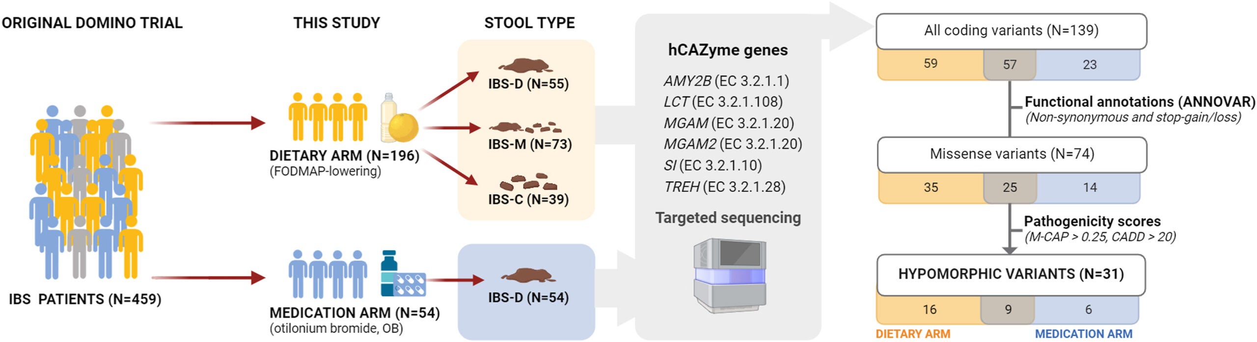 Graphical representation of the methodology used in this study (flowchart).