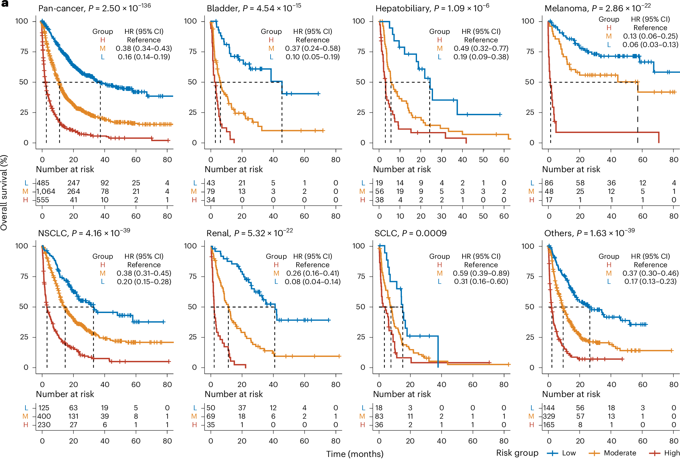 Performance of SCORPIO on the MSK-II cohort (internal test set).