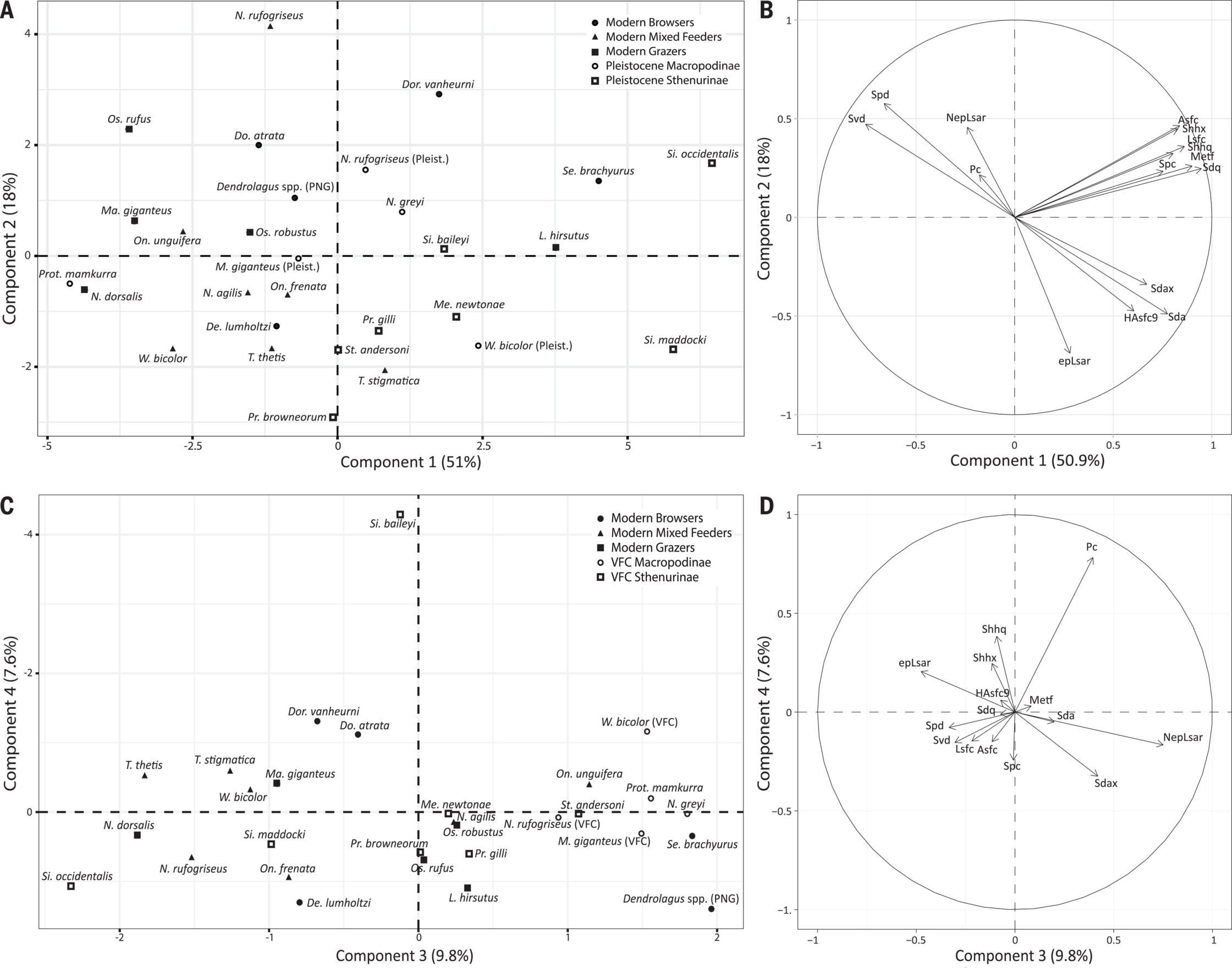 Principal components 1 and 2 of mean DMTA data for all taxa.