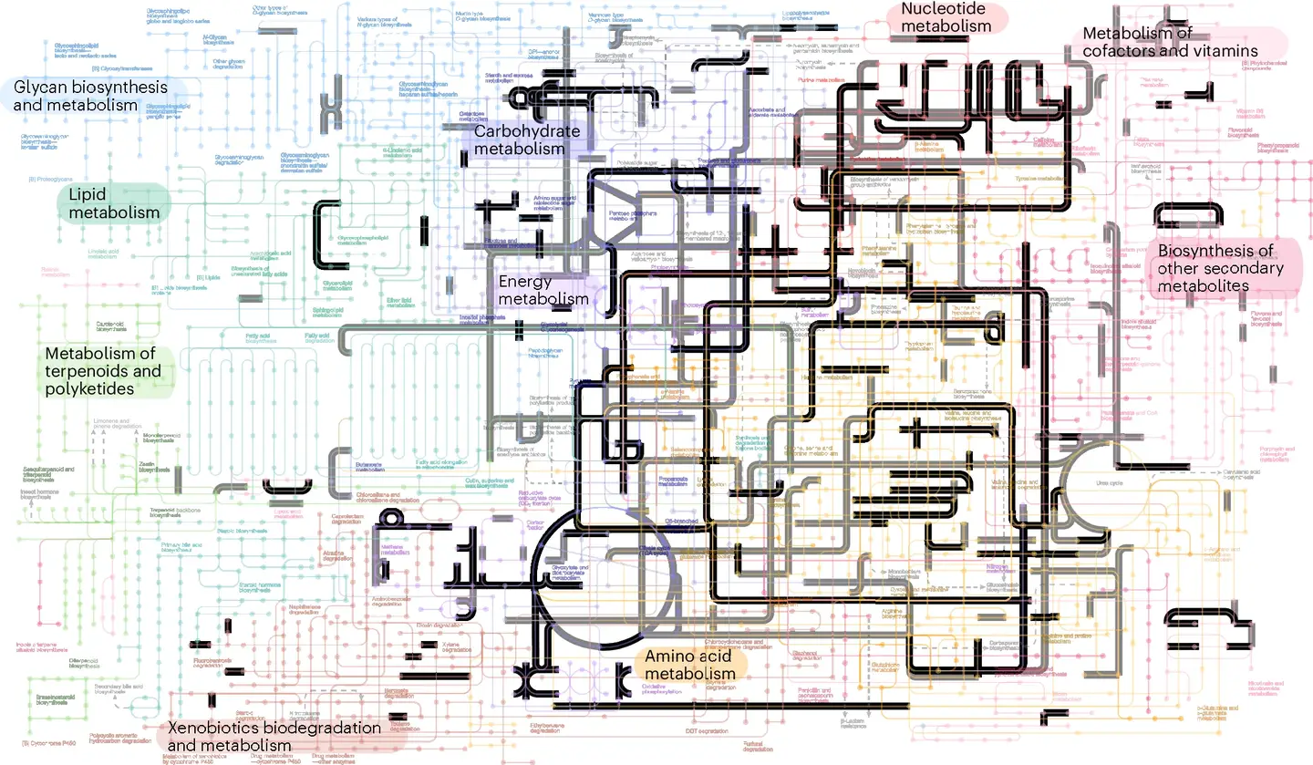 Probabilistic estimates of metabolic networks from modern life that were present in LUCA. Probabilistic estimates of metabolic networks from modern life that were present in LUCA.