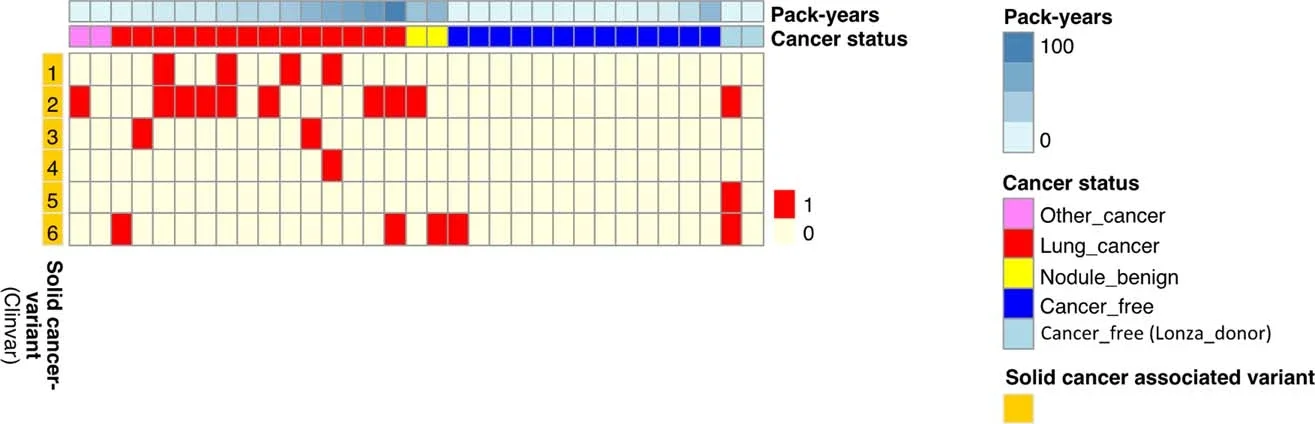 A heatmap showing 6 germline variants associated to solid cancers found in each subject per column, with the presence and absence colored.