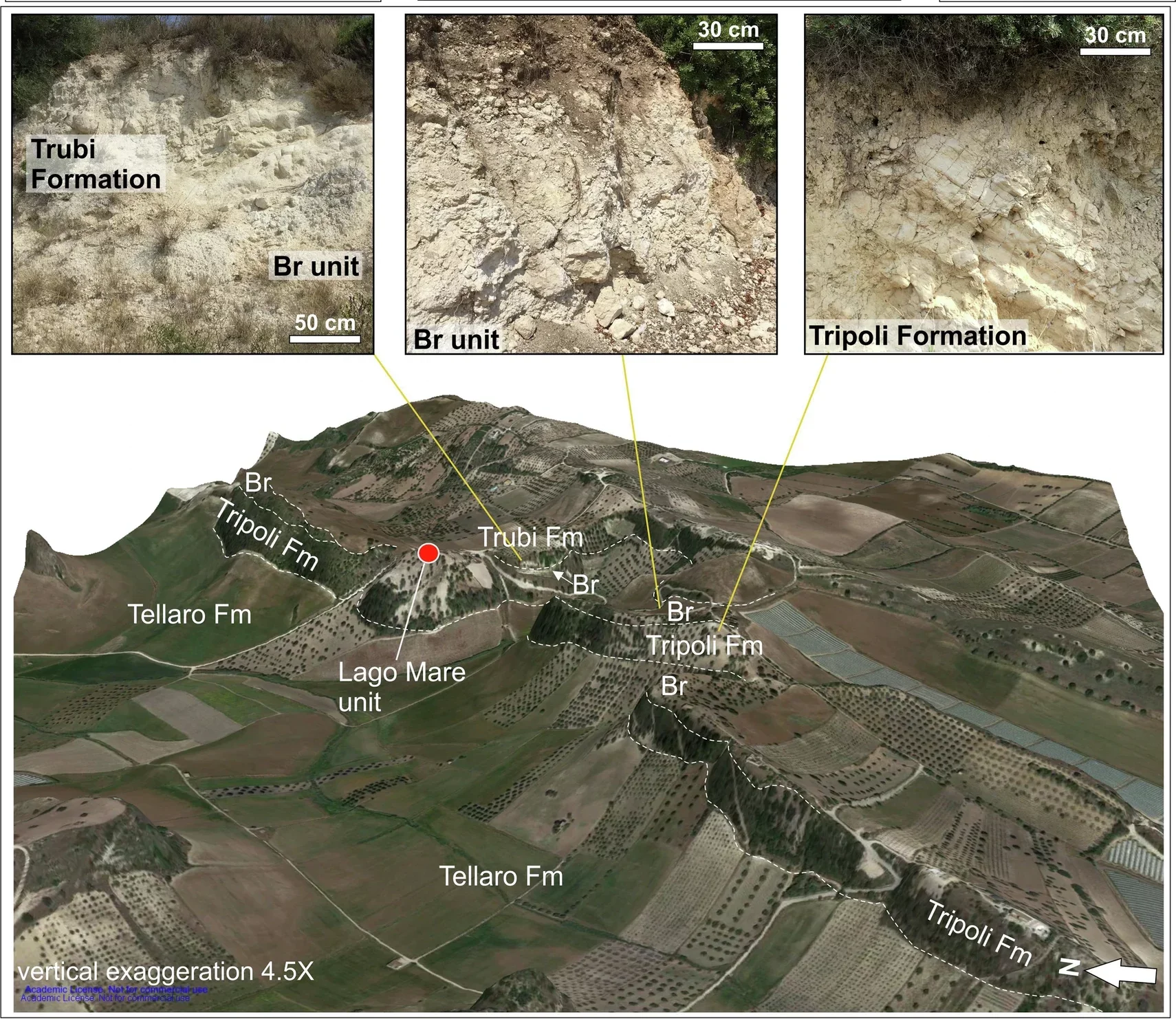 3D photomosaic of a ridge with outcrops of the breccia unit, the overlying Trubi and underlying Tripoli Formations (Fm). 