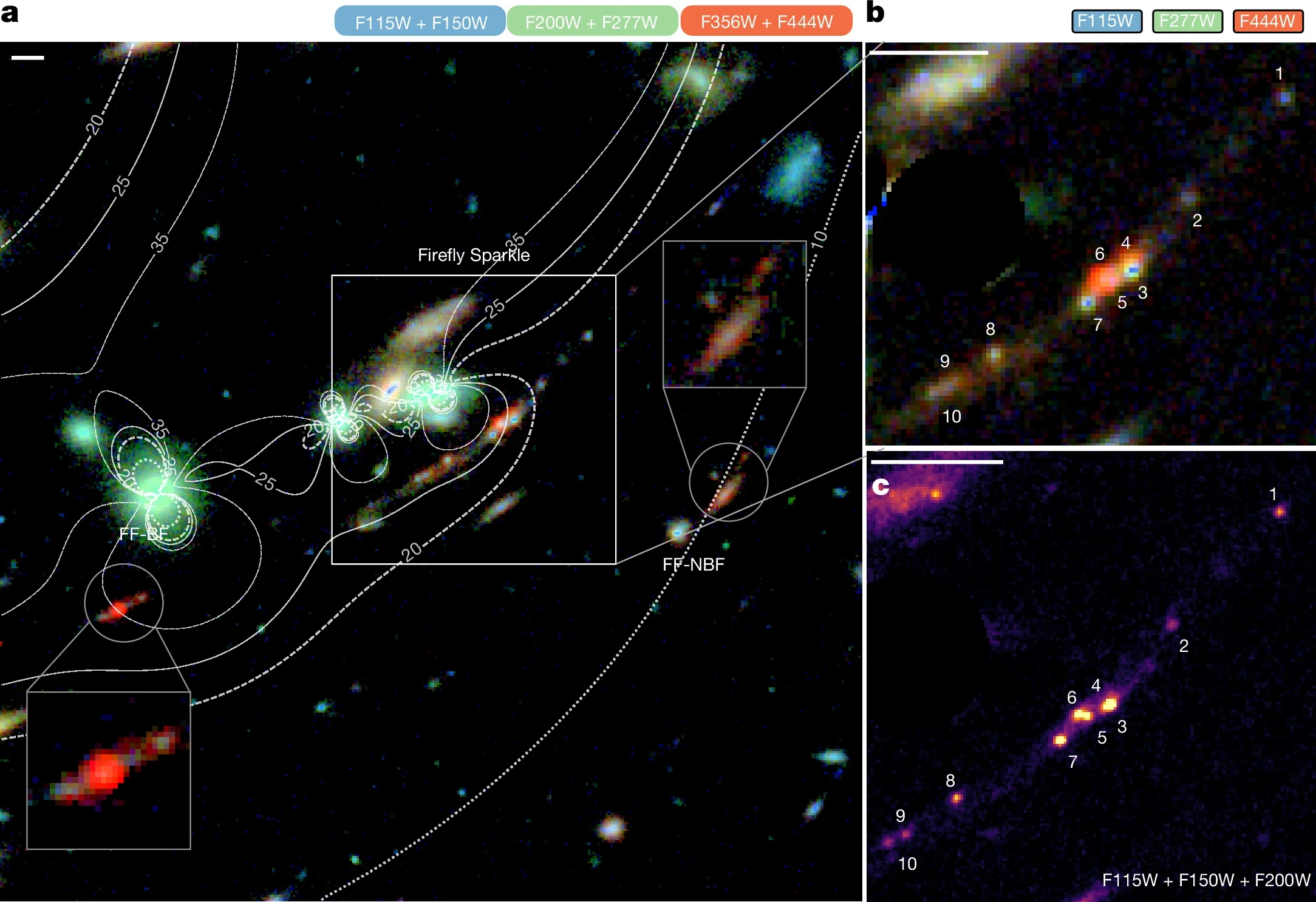 The Firefly Sparkle is a redshift zspec = 8.296 ± 0.001 gravitationally magnified arc lensed by the MACS J1423.8 + 2404 cluster.
