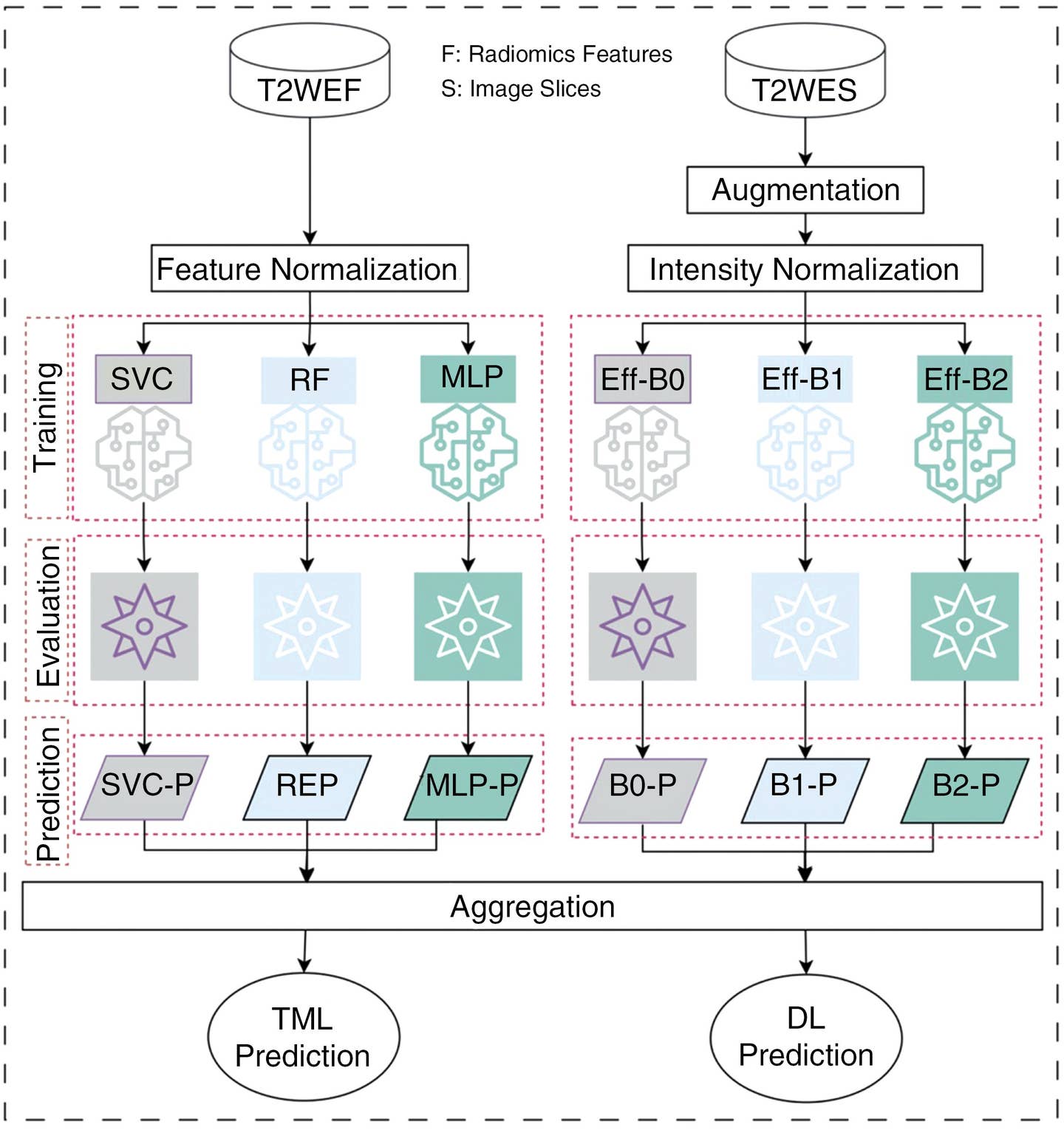 The process of model development and evaluation involved multiple traditional machine learning approaches (TML) and deep learning (DL) approaches.
