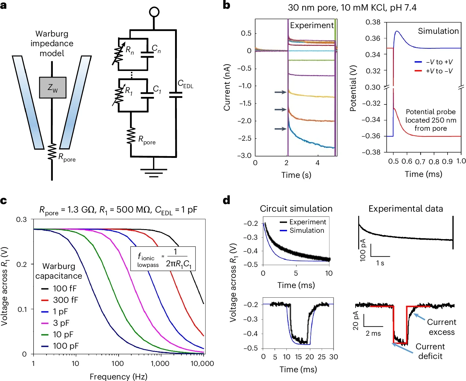 Warburg impedance model and its effects on nanopore current measurements.