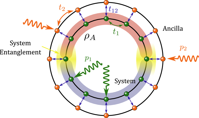 Sketch of the investigated fermionic model. The green (orange) spheres indicate the inner (outer) chain of fermions, representing respectively the system and the ancilla.