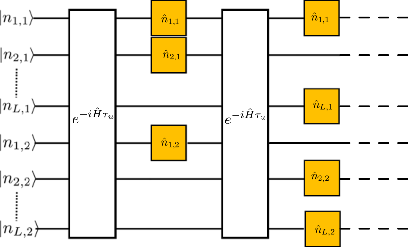 Sketch of the evolution of the ladder. The state is initialized in a factorized state at half filling, with random occupation number ni,(1/2).