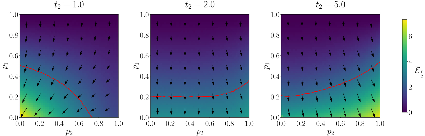 Colormap of the negativity in the inner chain for a half bipartition ℰL2 for L=32 for selected values of t2.